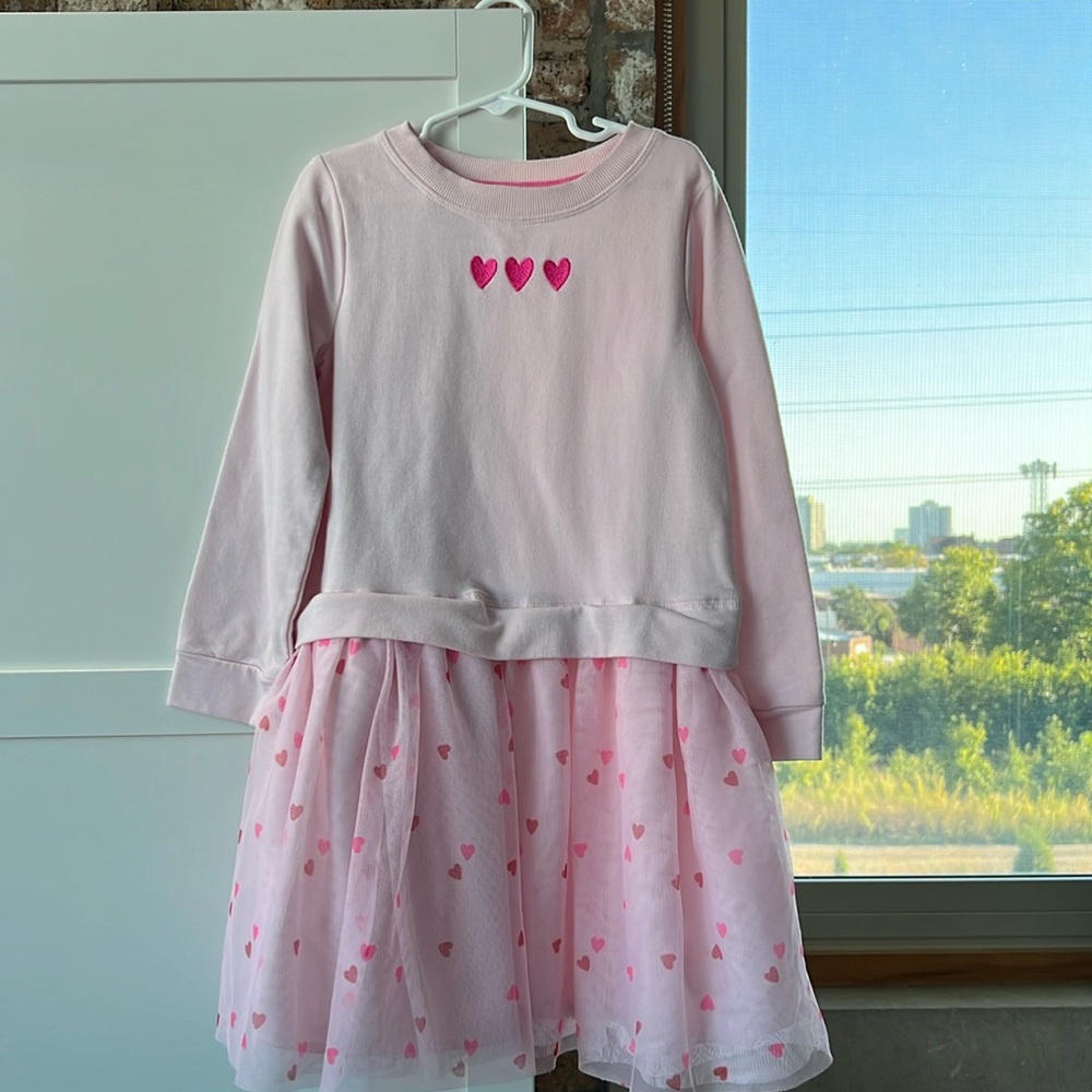 Girls Pink Long Sleeve Dress with pink Tuelle skirt.